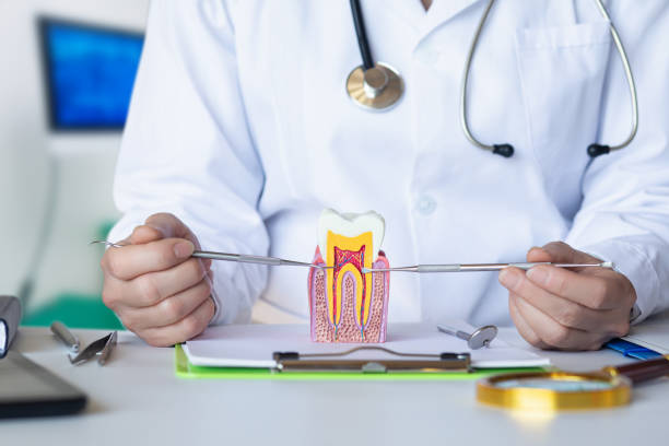 Best Pediatric Emergency Dentist in Cahokia, IL